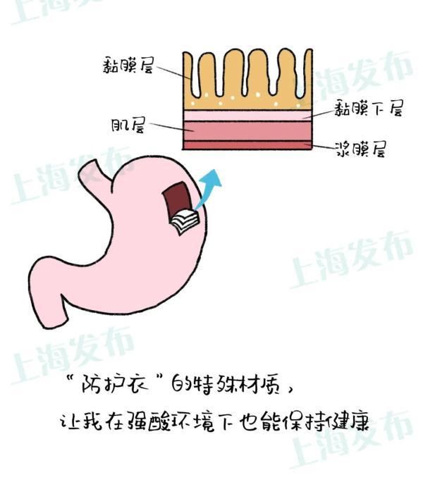 八字破解胃癌