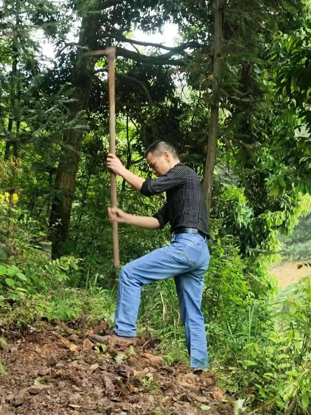 算命说要吃百家饭是什么意思