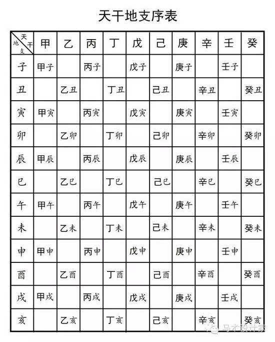 八字的月支代表什么意思