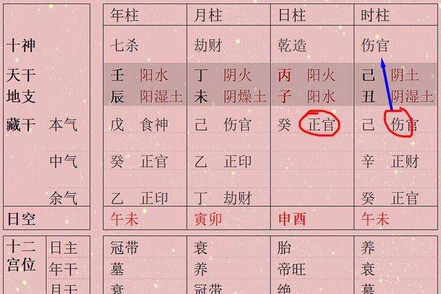 八字己亥丙子庚辰丙戌