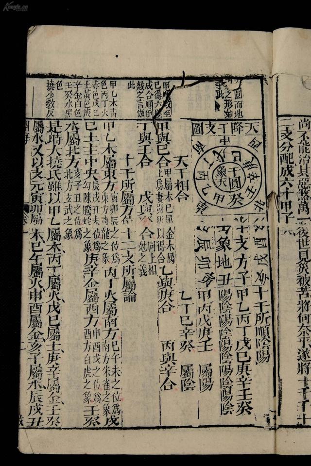 八字食伤代表什么意思