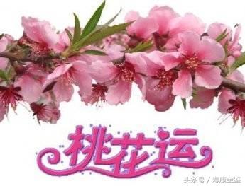 八字流年桃花逢合