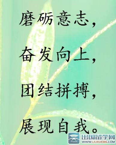 军队口号霸气押韵八字