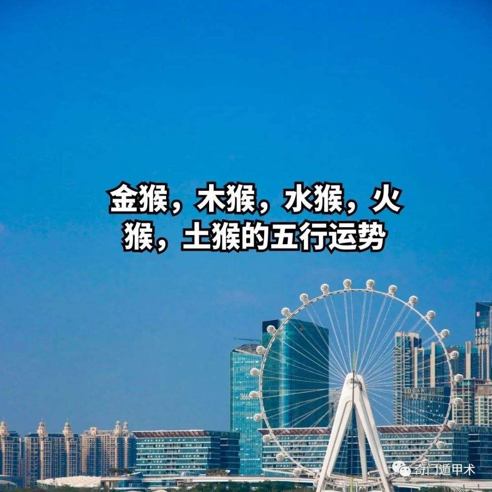 八字金多木多什么命