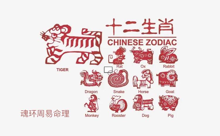 什么生肖头上角是八字