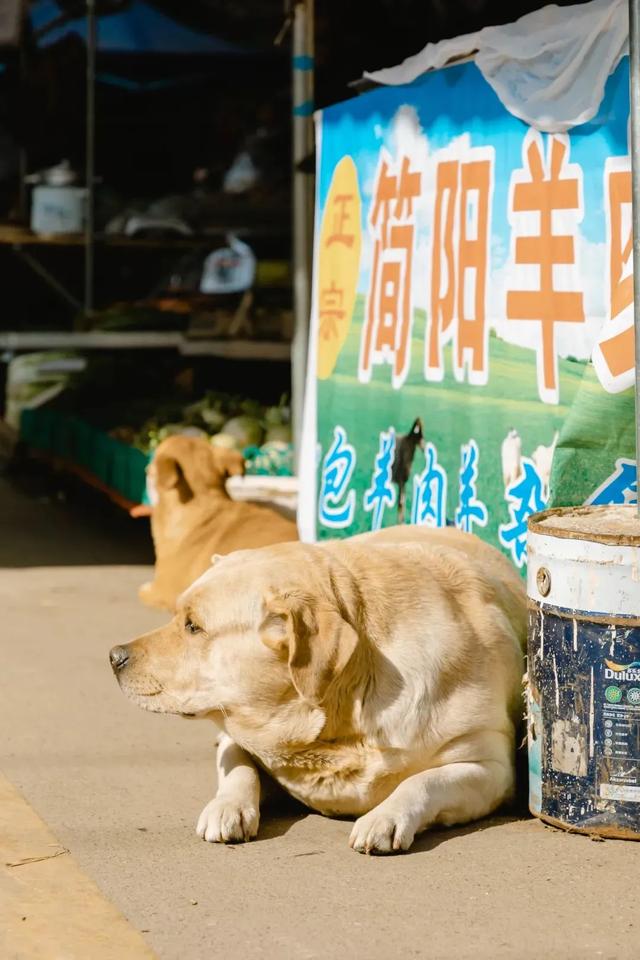 绵阳算命合八字