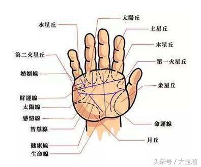 免费算命之手相算命图解