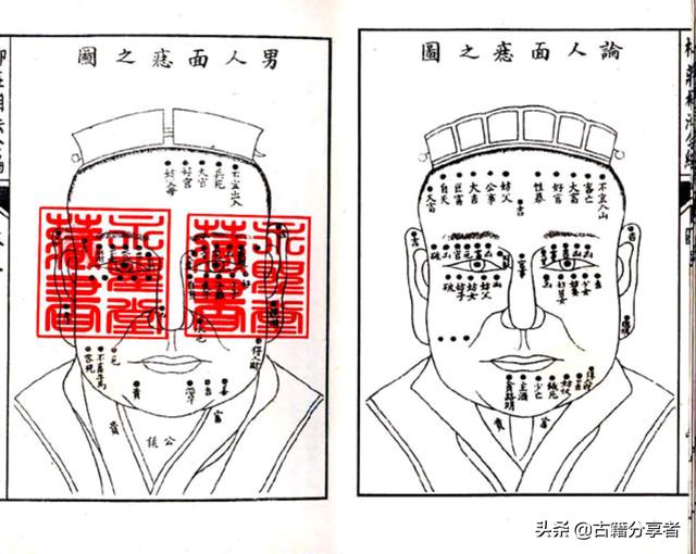 免费看相算命图解