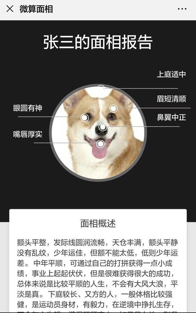 算命源码商业版免费