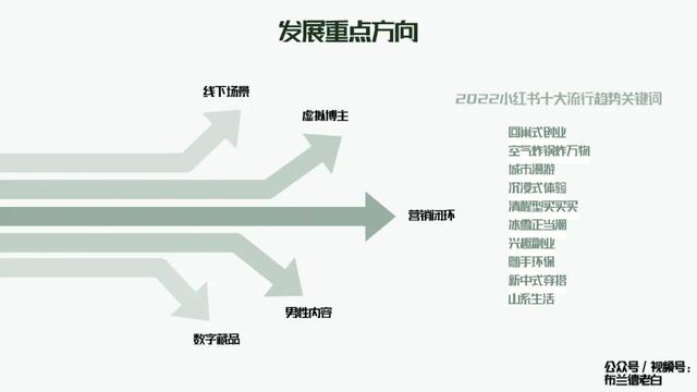 以后遇见八字腿小猪不用再淘汰了