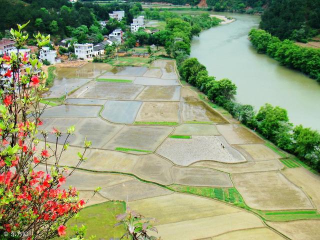 女命八字日月天克地冲