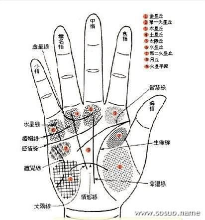 沸滔免费算命网 佛滔算命今曰运势