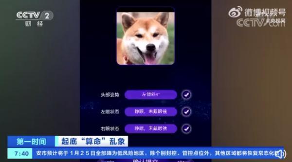 算命免费你算什么东西