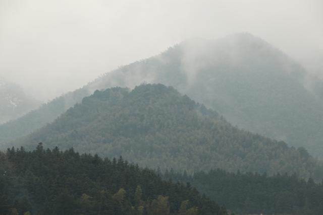 老黄历算命网免费算命杳带孝