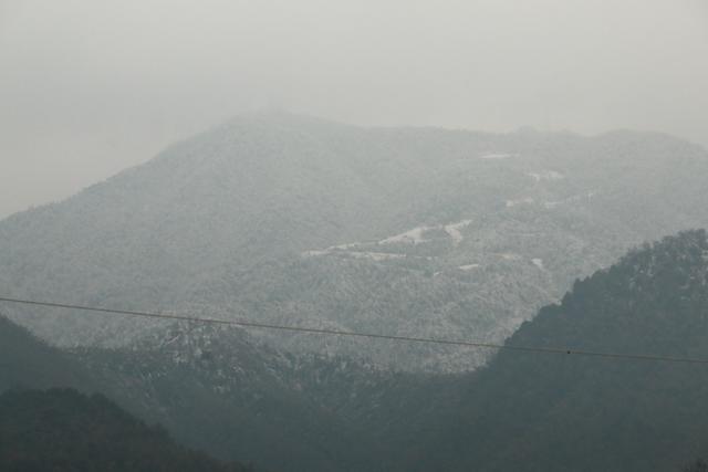 老黄历算命网免费算命杳带孝