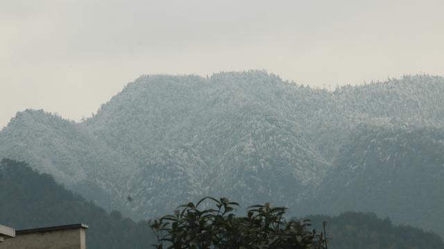 老黄历算命网免费算命杳带孝