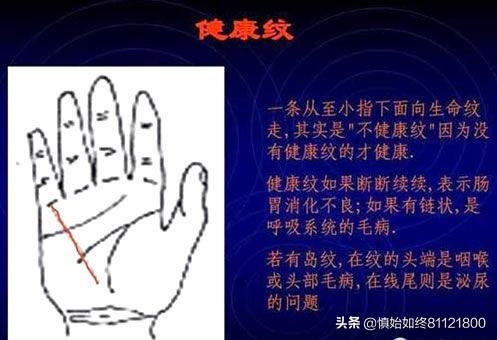 免费手相算命扫描