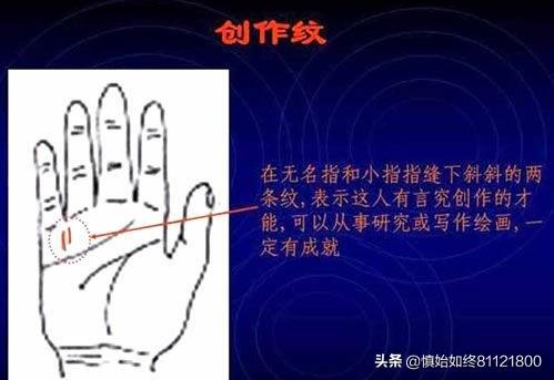 免费手相算命扫描