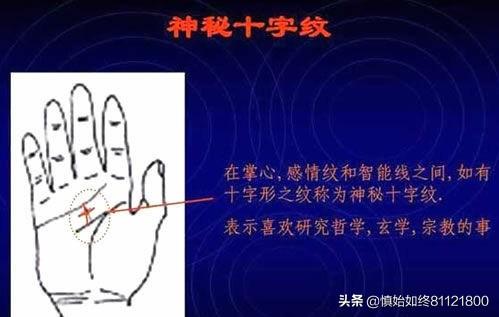 免费手相算命扫描