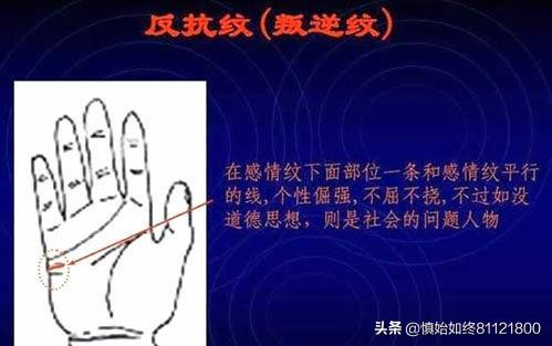 免费手相算命扫描