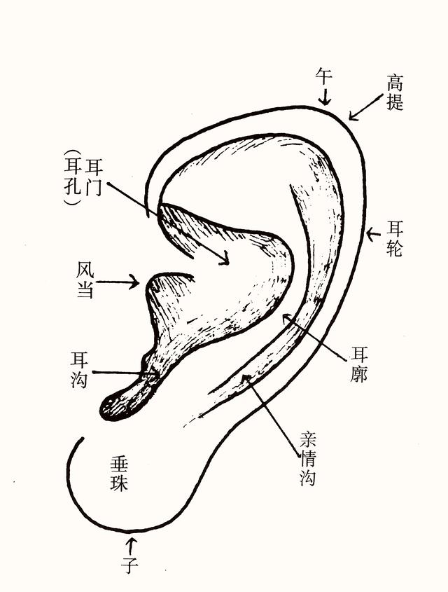 邵伟华八字看配偶方向