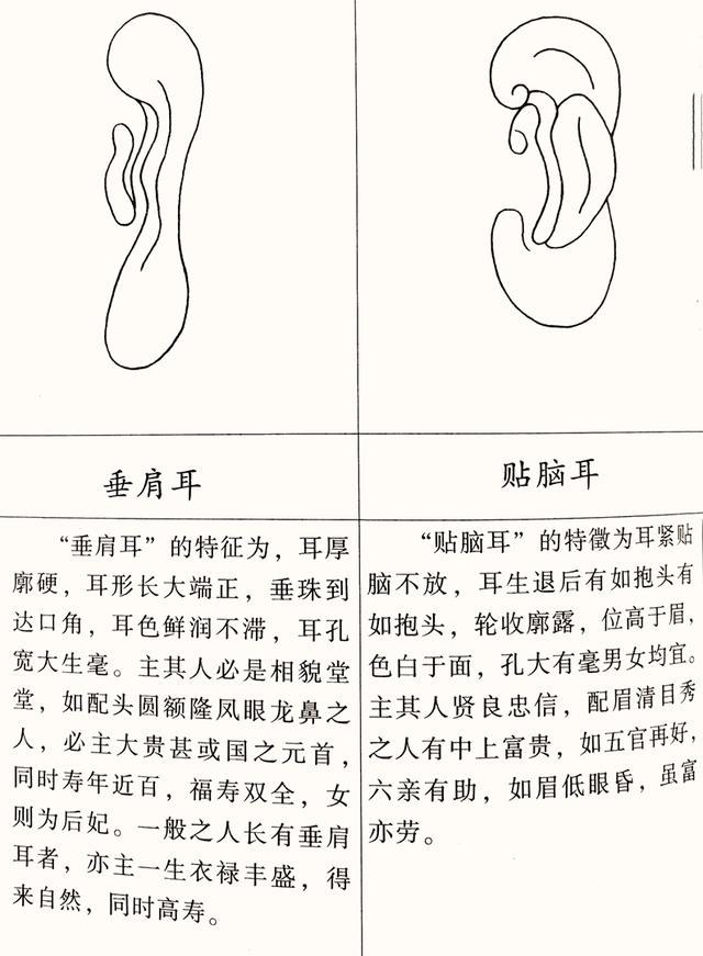 邵伟华八字看配偶方向