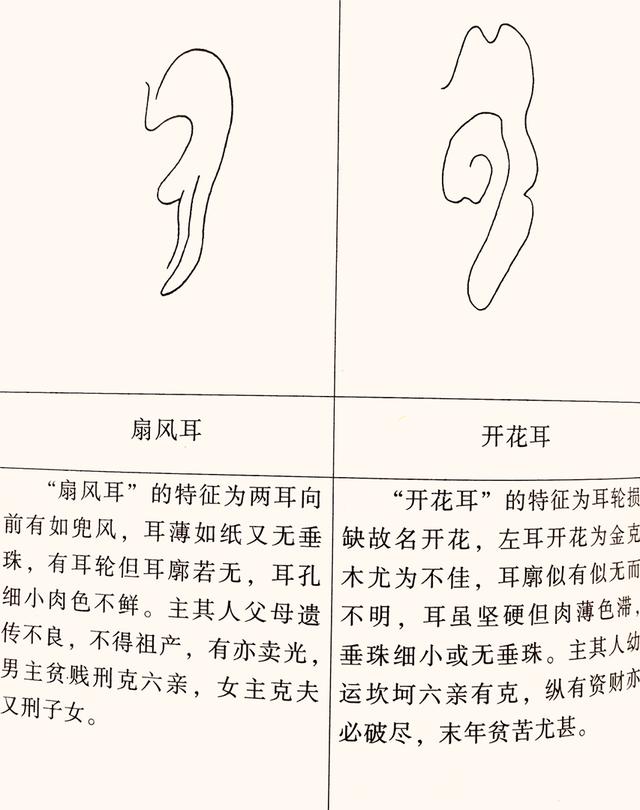 邵伟华八字看配偶方向