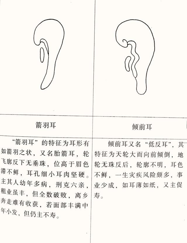 邵伟华八字看配偶方向