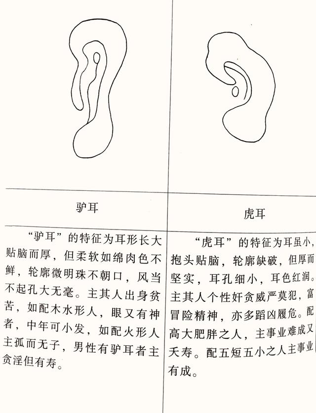 邵伟华八字看配偶方向