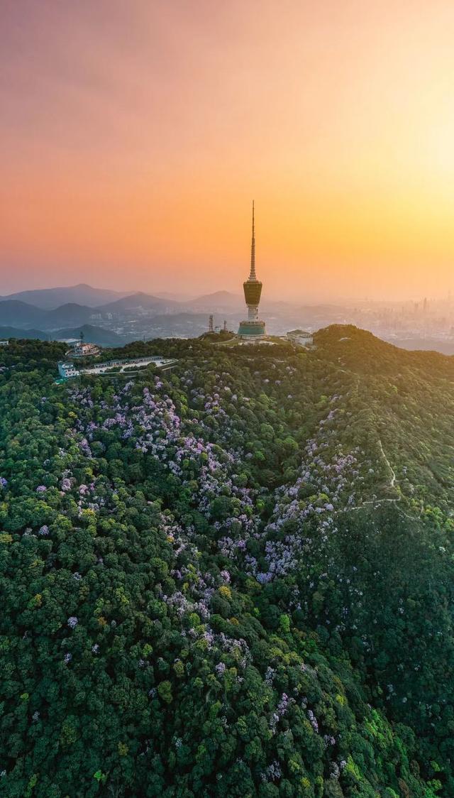 深圳福田区算八字的地方