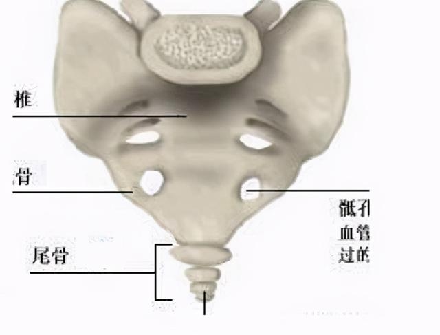 八字治疗法胃三针