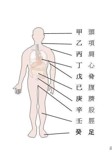 八字能看出健康状况么