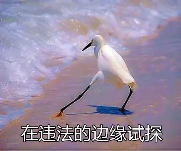 生辰八字算生儿子