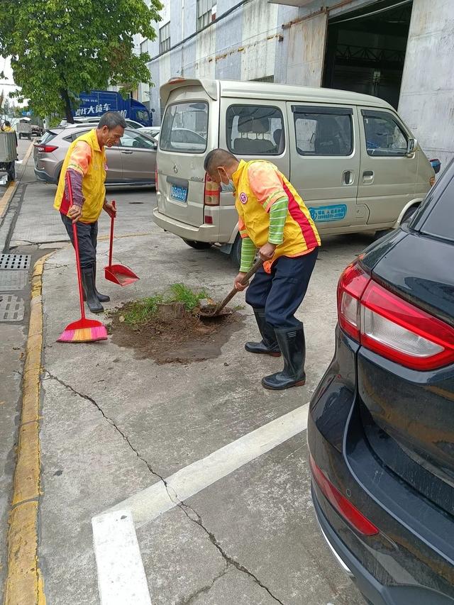 志愿者八字精神图片