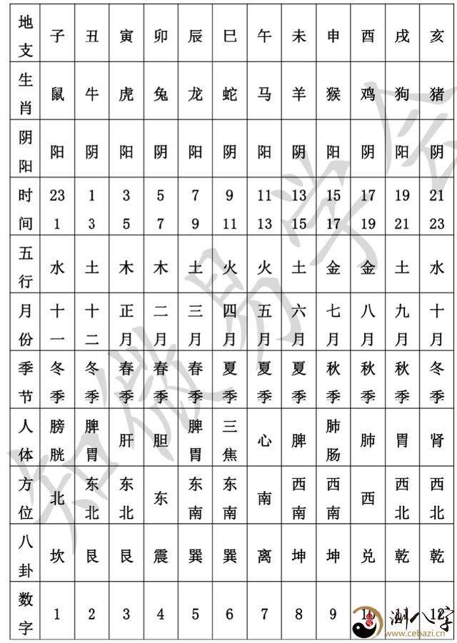 八字地支午火生天干己吗 元女庚金午火