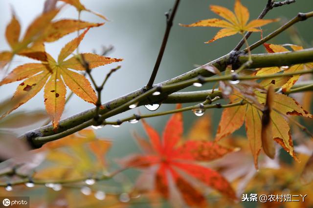 浮图免费算命