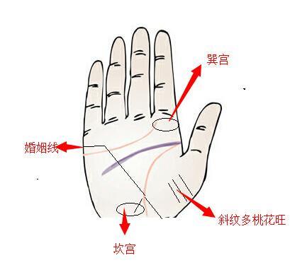 免费八字算异性缘