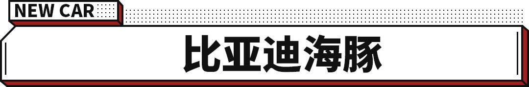 经典福克斯后轮八字