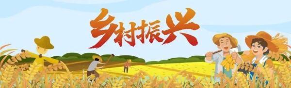 红砖八字绿化花带