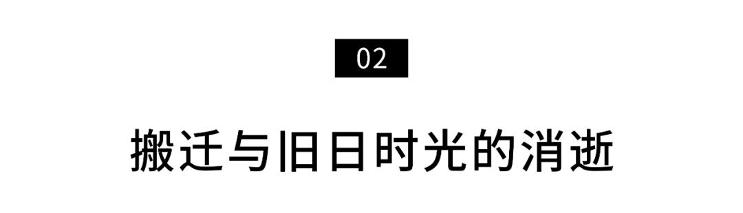 免费算命2010什么命