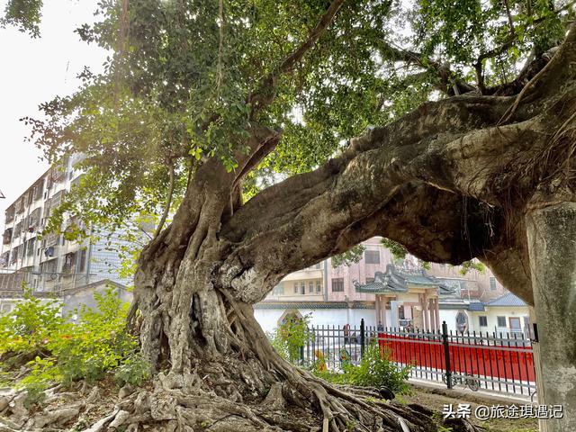 把八字压在寺庙佛像下