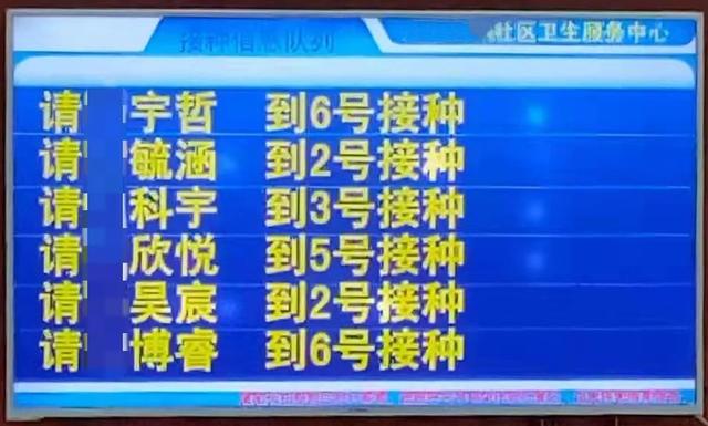 生辰八字五行查询农历软件