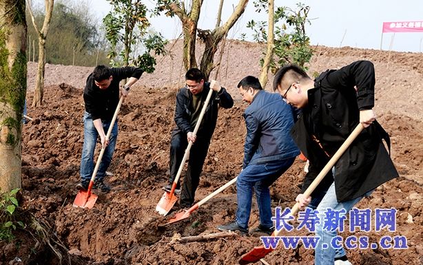 重庆长寿区云台镇八字村 长寿区云台镇工业大道