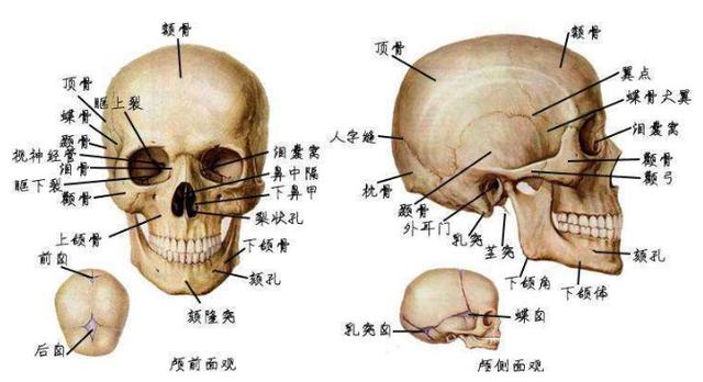 八字看邓丽君为什么没结婚