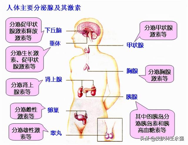 网上免费算命说的寿命长短准吗