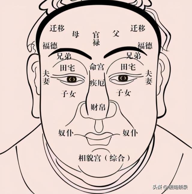 骨头免费算命