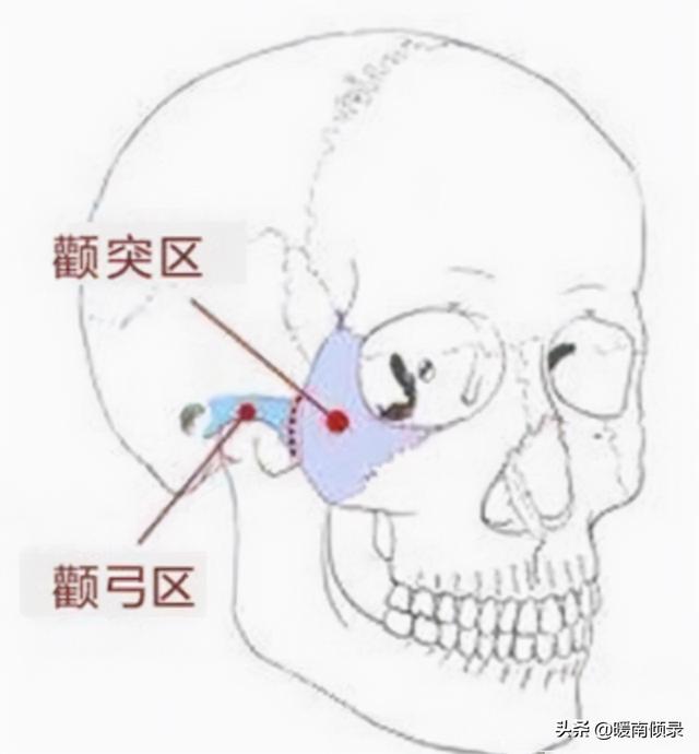 骨头免费算命