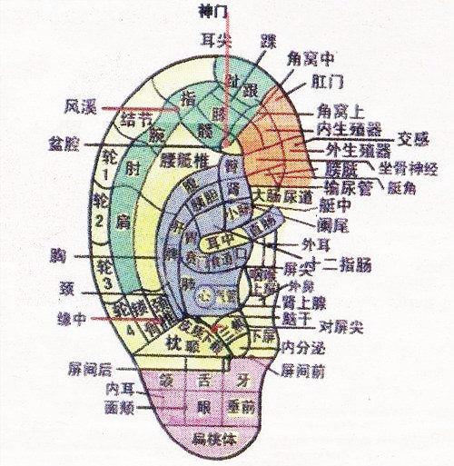 八字疗法对应图高清图