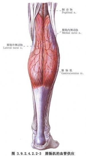 八字跳绳如何训练