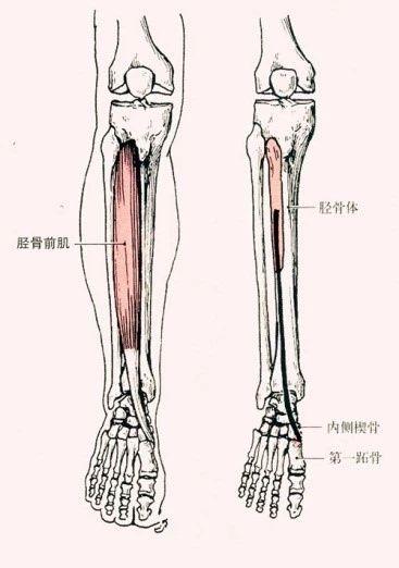 八字跳绳如何训练